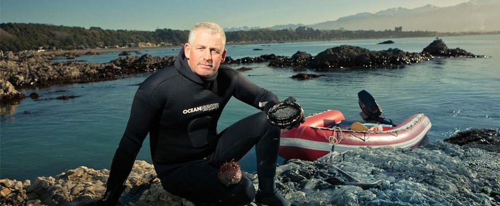 Wild New Zealand pāua on the seabed