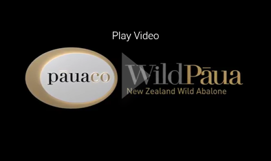Play the Wild New Zealand pāua video